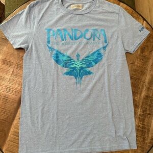 Disney Pandora Blue and Gray Short Sleeve Tee